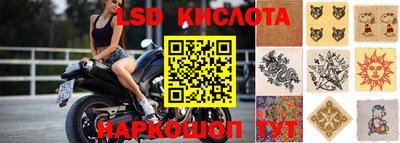СК Краснодар