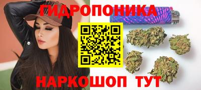 СК Краснодар