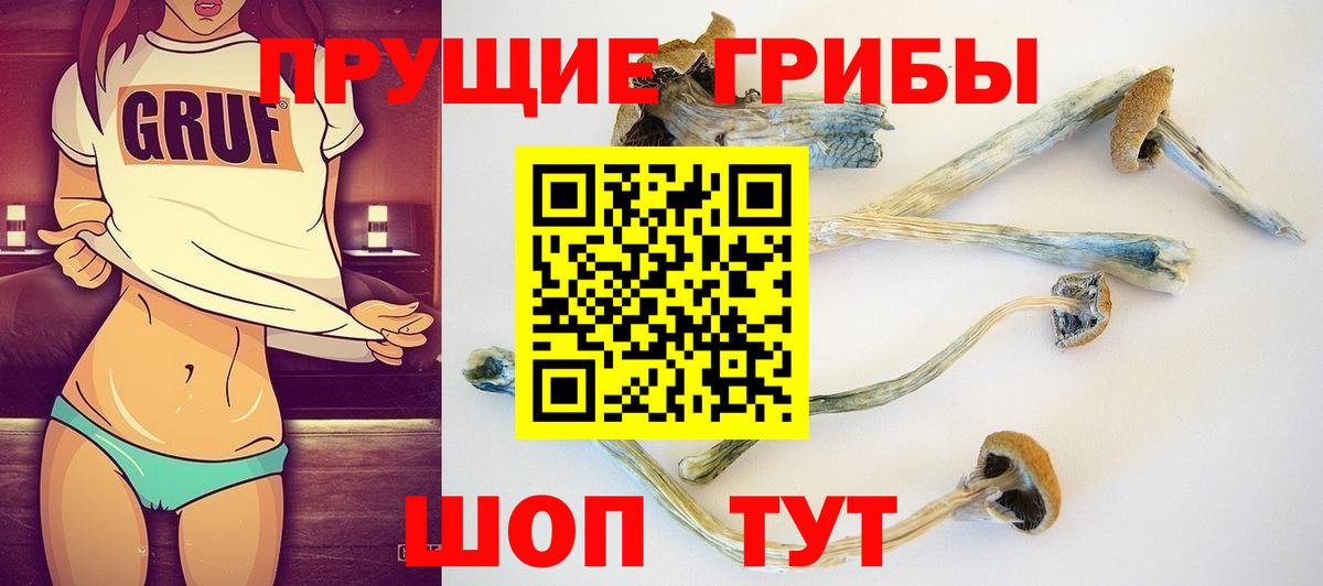 Псилоцибиновые грибы ЛСД Арсеньев
